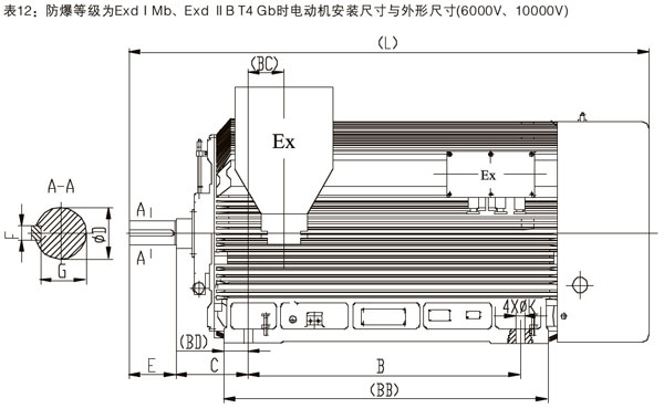 防爆電機